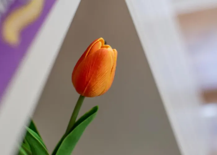 Affaccio Sul Castellare * シエーナ