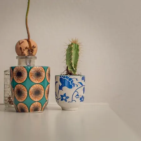 Affaccio Sul Castellare Apartment