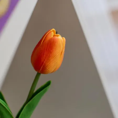 Affaccio Sul Castellare * Siena