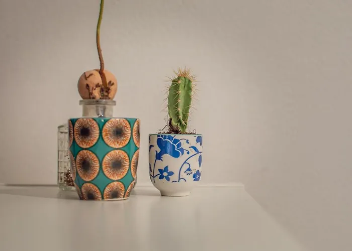 Affaccio Sul Castellare Apartment